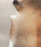 Brown with Red Cowhide Rug #A24875