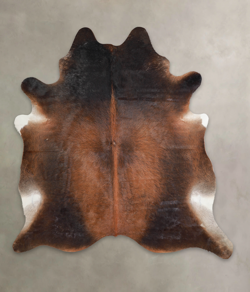 Brown with Red Cowhide Rug #A24984