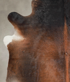 Brown with Red Cowhide Rug #A24984