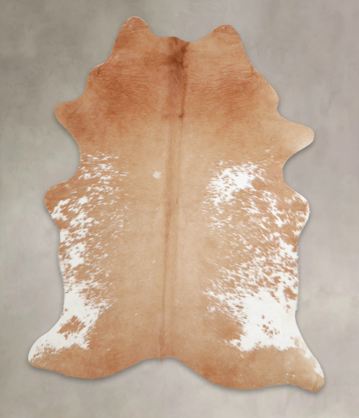 Brown and White Regular Cowhide Rug #A25022