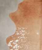 Brown and White Regular Cowhide Rug #A25022