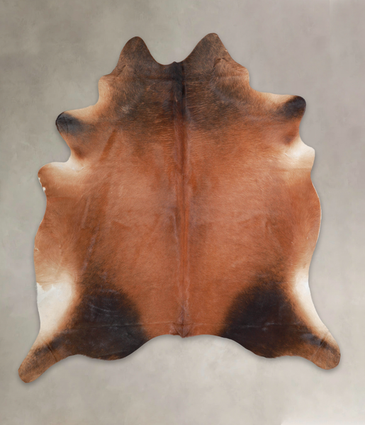 Brown with Red Cowhide Rug #A25030