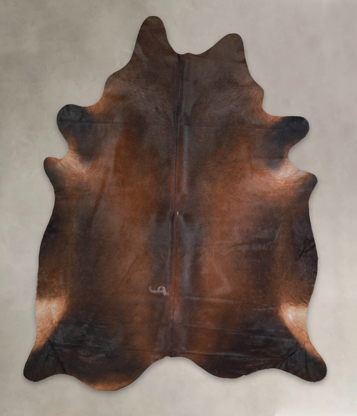 Brown with Red Cowhide Rug #A25050