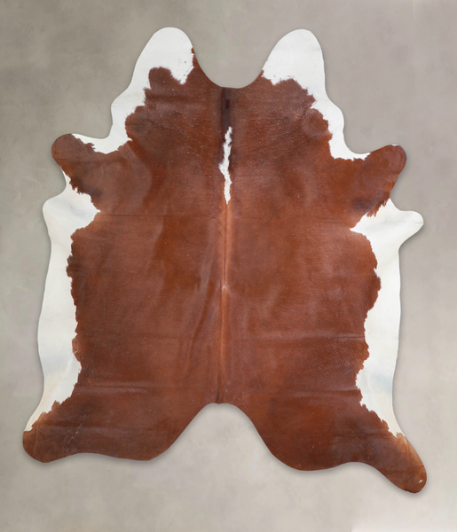 Brown and White Regular Cowhide Rug #A25056