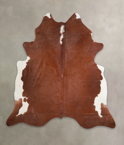 Brown and White Regular Cowhide Rug #A25077