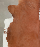 Brown and White Regular Cowhide Rug #A25125