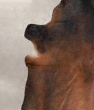 Brown with Red Cowhide Rug #A25126