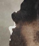 Chocolate Cowhide Rug #A25127