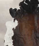 Chocolate and White Cowhide Rug #A25136