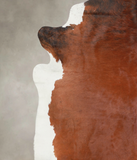 Brown and White Regular Cowhide Rug #A25174