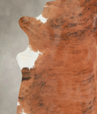 Medium Brindle Cowhide Rug #A25180