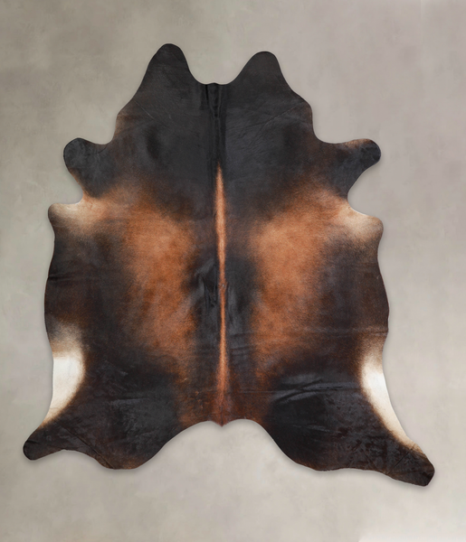 Brown with Red Cowhide Rug #A25187