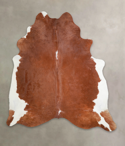 Brown and White Regular Cowhide Rug #A25192