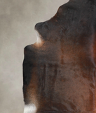 Brown with Red Cowhide Rug #A25241