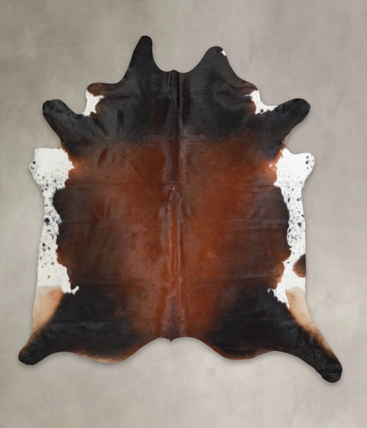 Brown with Red Cowhide Rug #A25261
