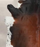 Brown with Red Cowhide Rug #A25261