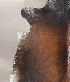 Salt and Pepper Brown Cowhide Rug #A25274