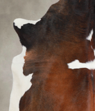 Chocolate and White Cowhide Rug #A25293