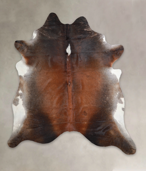 Brown with Red Cowhide Rug #A25321