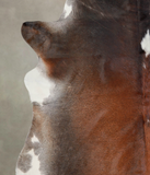 Brown with Red Cowhide Rug #A25321