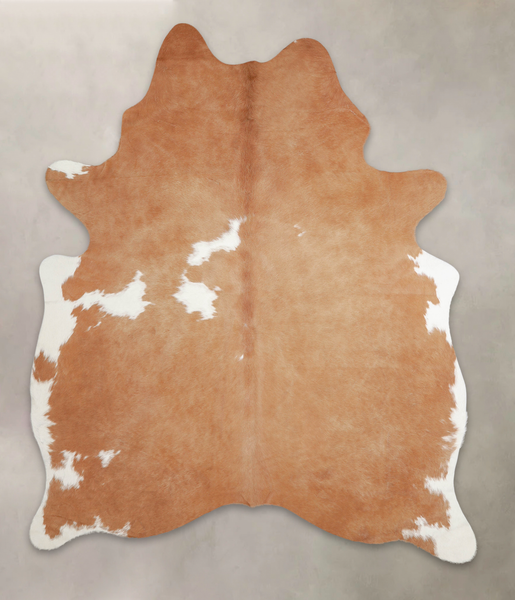 Brown and White Regular Cowhide Rug #A25328