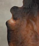 Brown with Red Cowhide Rug #A25336