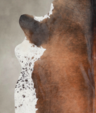 Brown with Red Cowhide Rug #A25366