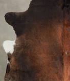 Brown with Red Cowhide Rug #A25390