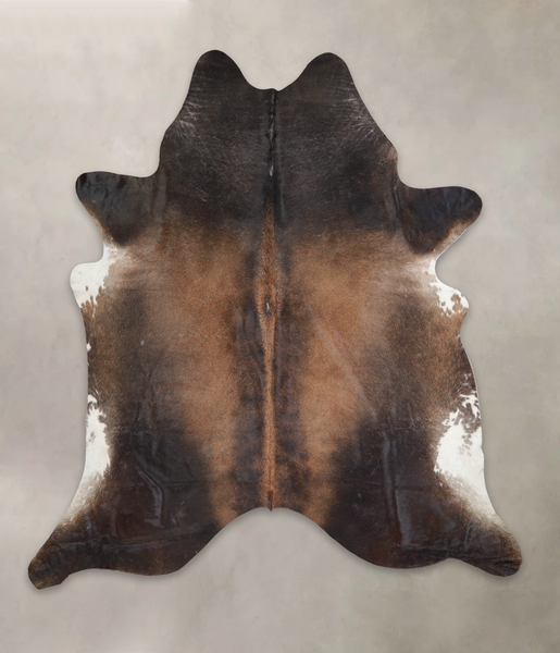 Brown with Red Cowhide Rug #A25417