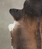 Brown with Red Cowhide Rug #A25417