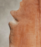 Solid Brown Cowhide Rug #A25422