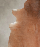 Solid Brown Cowhide Rug #A25468