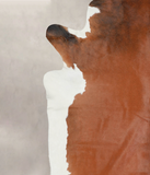 Brown and White Regular Cowhide Rug #A25483