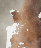 Chocolate and White Cowhide Rug #A25493