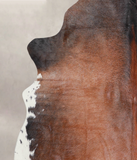 Brown with Red Cowhide Rug #A25501