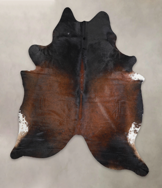 Brown with Red Cowhide Rug #A25504
