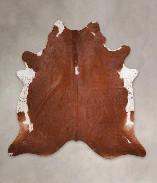 Brown and White Regular Cowhide Rug #A25505