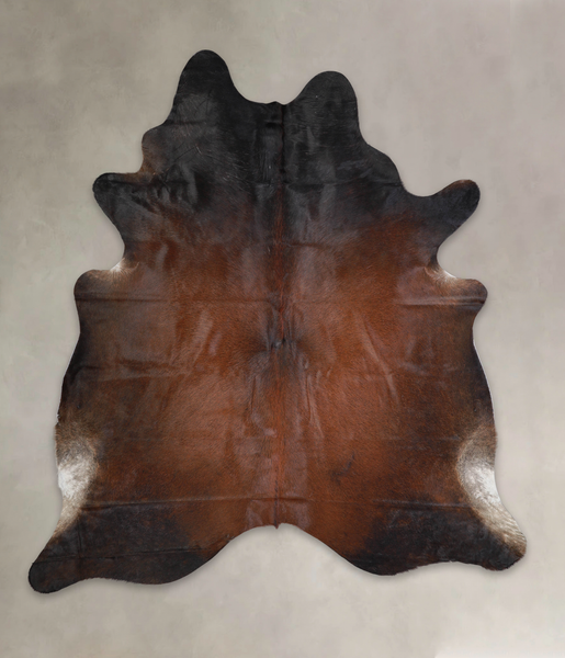 Brown with Red Cowhide Rug #A25514