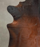 Brown with Red Cowhide Rug #A25515