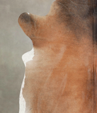 Brown with Red Cowhide Rug #A25517