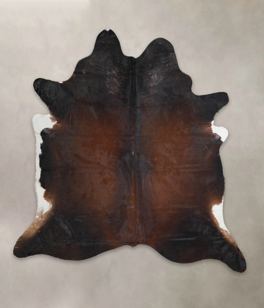 Brown with Red Cowhide Rug #A25526