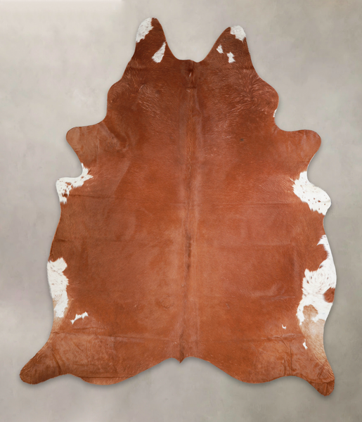 Brown and White Regular Cowhide Rug #A25528