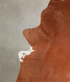 Brown and White Regular Cowhide Rug #A25528