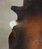 Brown with Red Cowhide Rug #A25567