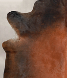 Brown with Red Cowhide Rug #A25573