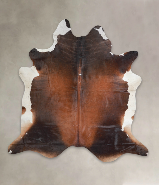 Brown with Red Cowhide Rug #A25574