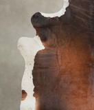Brown with Red Cowhide Rug #A25574