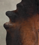 Chocolate Cowhide Rug #A25592