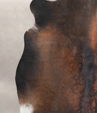 Brown with Red Cowhide Rug #A25596