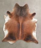 Brown with Red Cowhide Rug #A25600